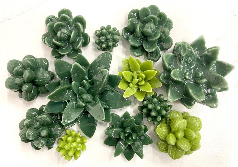 Collage of various glass succulents